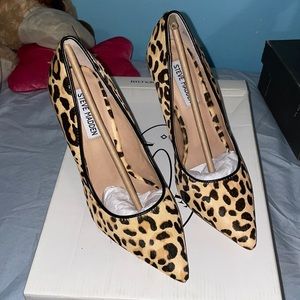 Daisie Leopard